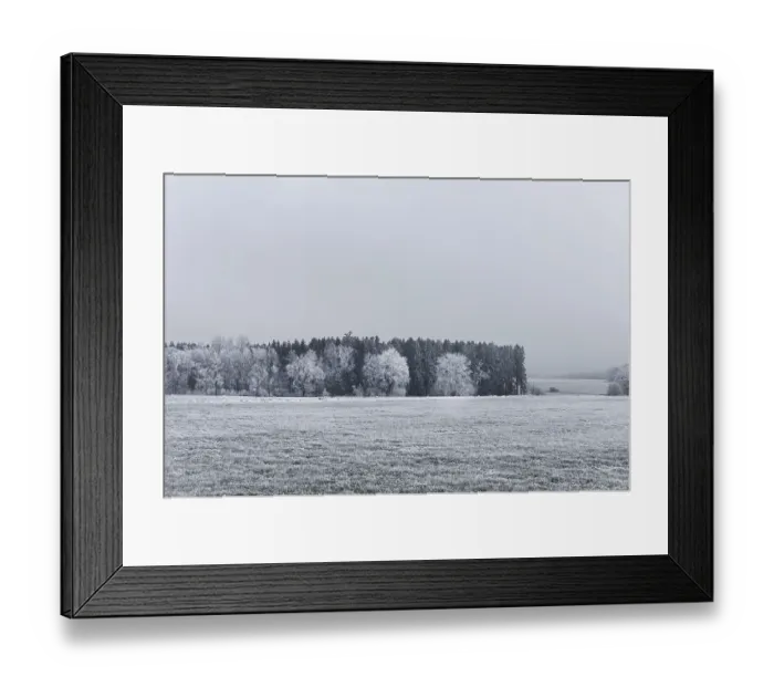 Framed Print : Winter forest near Kemnat, Baden-Wurttemberg
