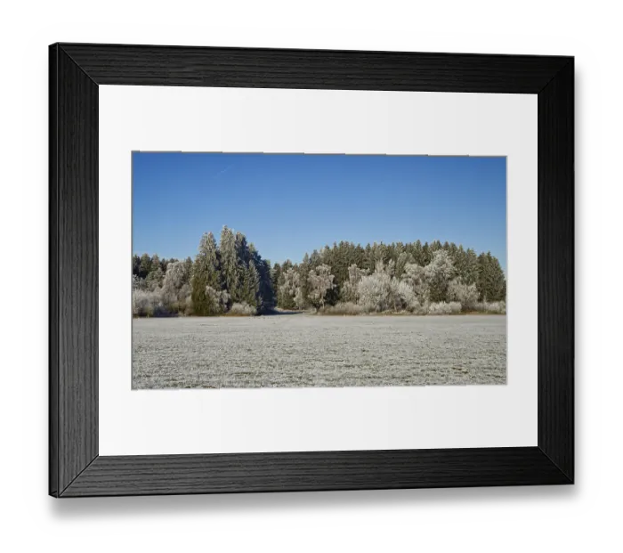 Framed Print : Winter forest near Furamoos