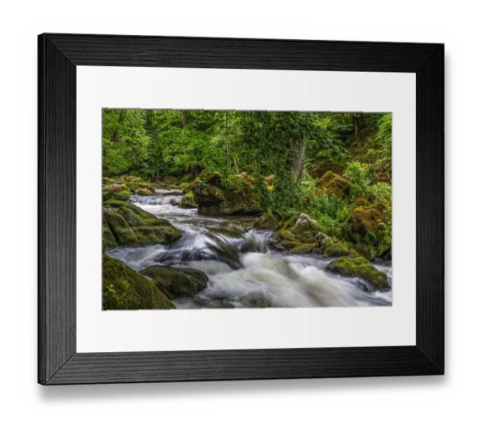 Framed Print : A wild river flows through a mossy forest surrounded by stones and trees