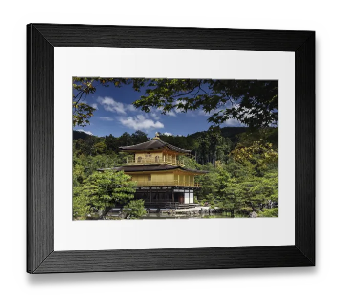 Framed Print : Kinkaku-ji Golden Pavilion in Kyoto surrounded by nature