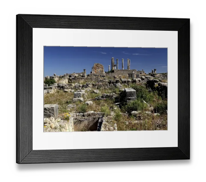 Framed Print : Ruins of the Volubilis Basilica and Capitol surrounded by wild vegetation under a cloudless sky