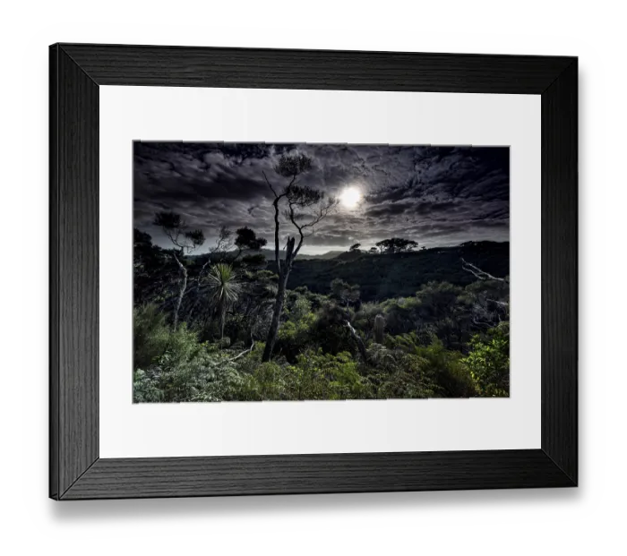 Framed Print : Nocturnal forest landscape with moonlight near Wharariki Beach