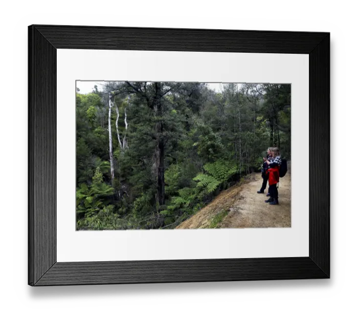 Framed Print : People on the Abel Tasman track through a green forest