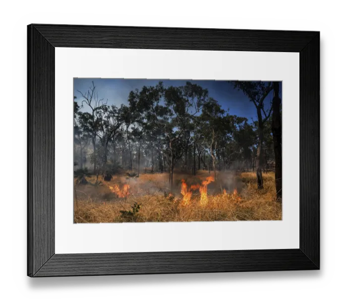 Framed Print : Flames and smoke surround trees in a blazing forest fire in Kakadu National Park Framed Print : Flames and smoke surround trees in a blazing forest fire in Kakadu National Park