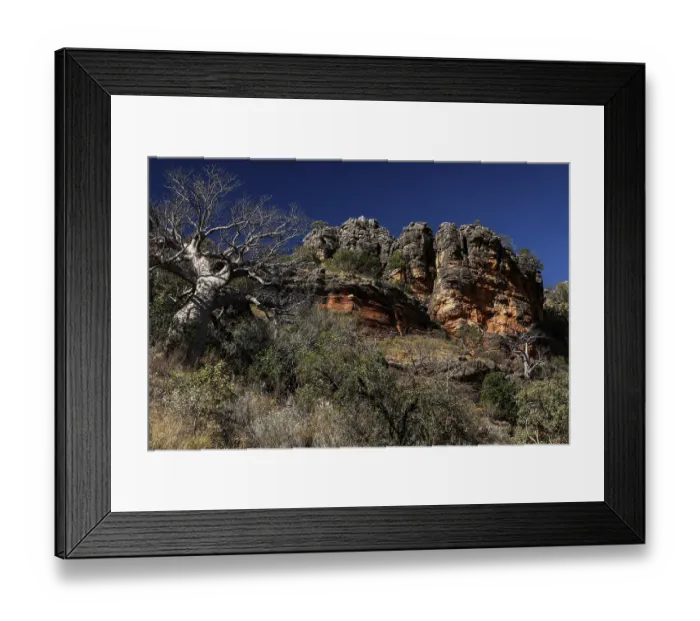 Framed Print : Rocky landscape with trees and distinctive rock formations in the King Leopold Range
