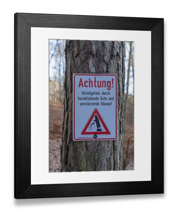 Framed Print : Warning sign warns of risk of accidents due to falling branches and falling trees
