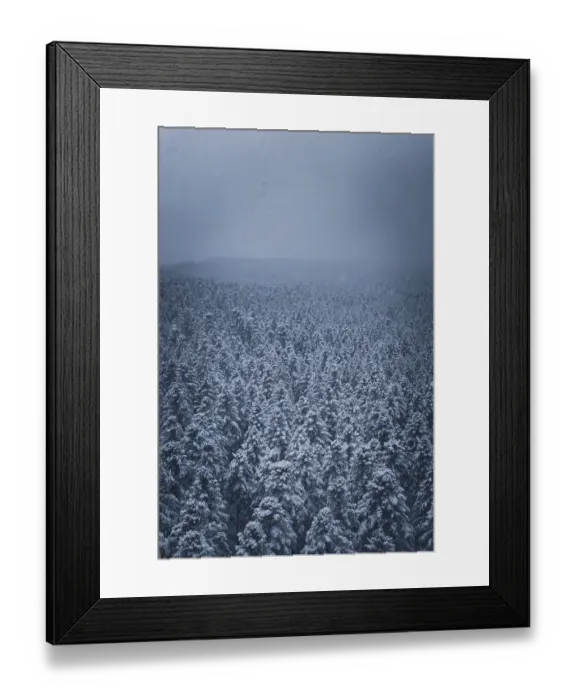 Framed Print : Dense, snowy forest under a grey