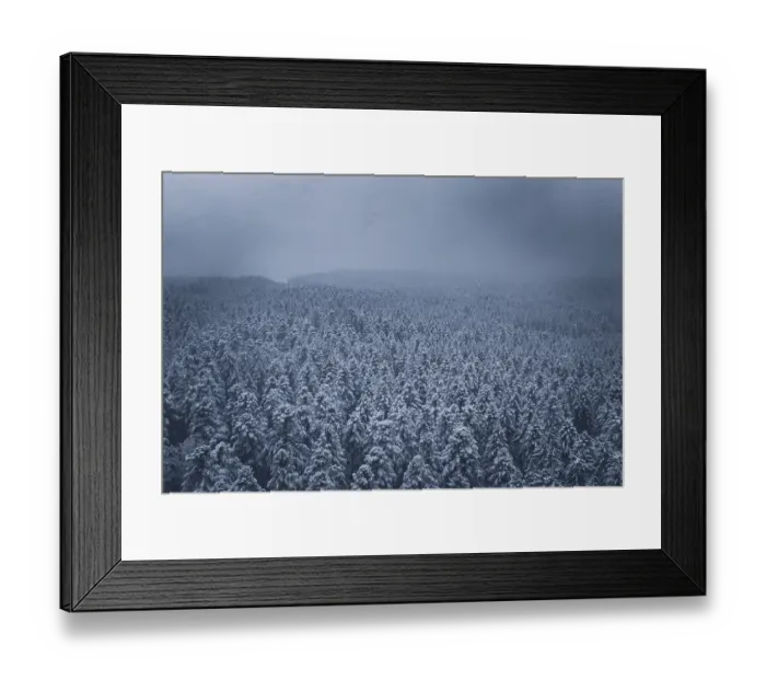 Framed Print : Wide, snowy forest landscape under a dark sky Framed Print : Wide, snowy forest landscape under a dark sky