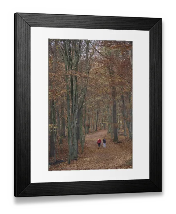 Framed Print : Autumn forest with walkers, Hulser Berg Nature Reserve