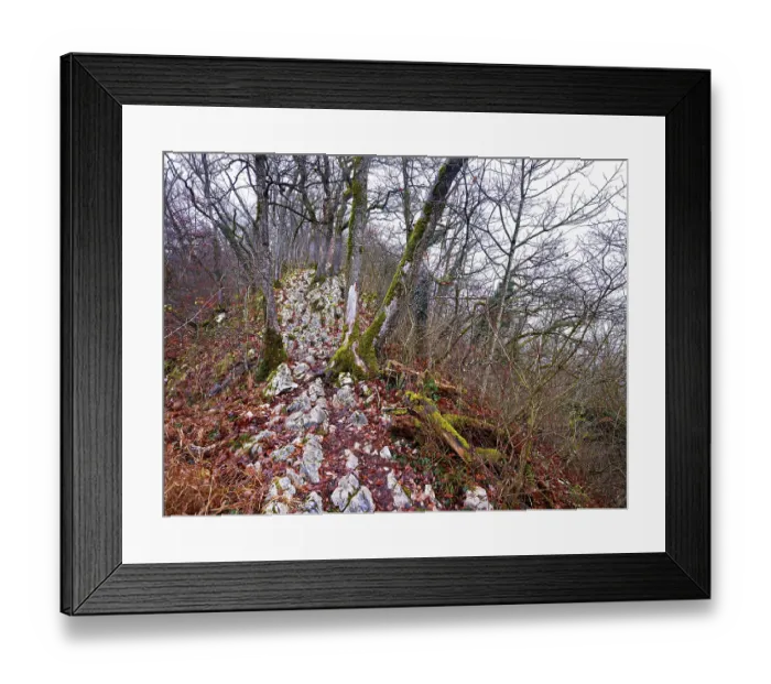 Framed Print : Moss-covered trees surrounded by distinctive limestone formation