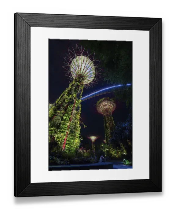 Framed Print : Supertree Grove, illuminated Supertrees towering over Gardens by the Bay Framed Print : Supertree Grove, illuminated Supertrees towering over Gardens by the Bay