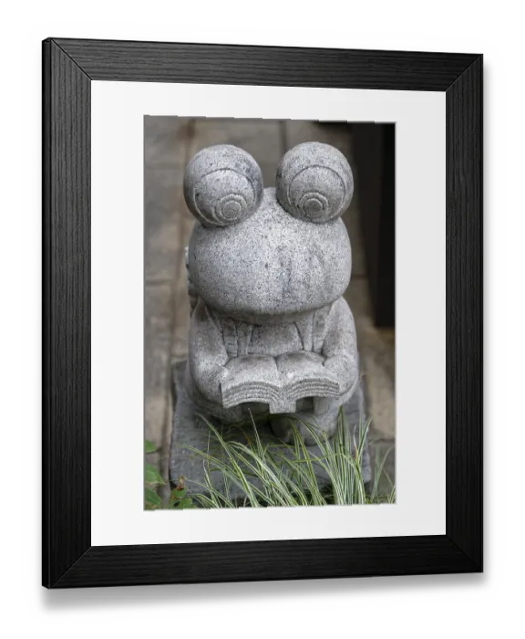 Framed Print : Frog, Nawate Street (Frog Street)