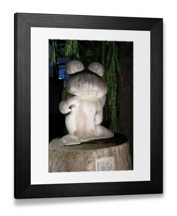 Framed Print : Night shot, frog, Nawate Street (Frog Street)