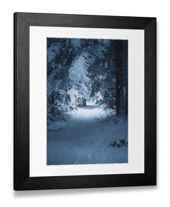 Framed Print : A snowy trail through a forest in a quiet winter scene