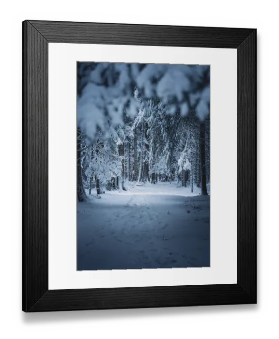 Framed Print : A quiet path covered with snow leads through a forest Framed Print : A quiet path covered with snow leads through a forest