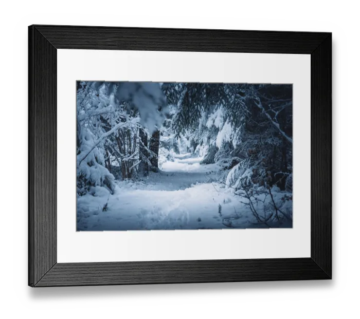 Framed Print : Snowy forest trail with thick trees and a quiet