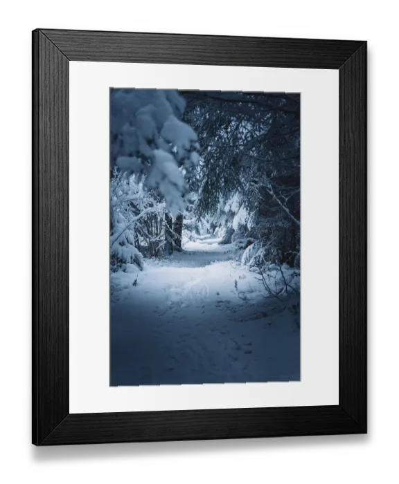 Framed Print : Snowy trail through a dense, quiet forest area with a cold winter atmosphere Framed Print : Snowy trail through a dense, quiet forest area with a cold winter atmosphere
