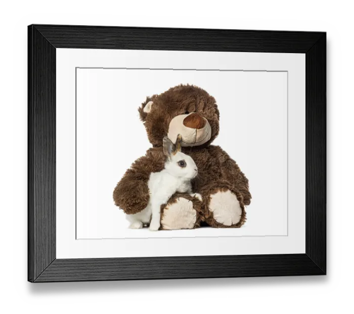 Framed Print : Small rabbit resting in the arms of a stuffed plush teddy bear
