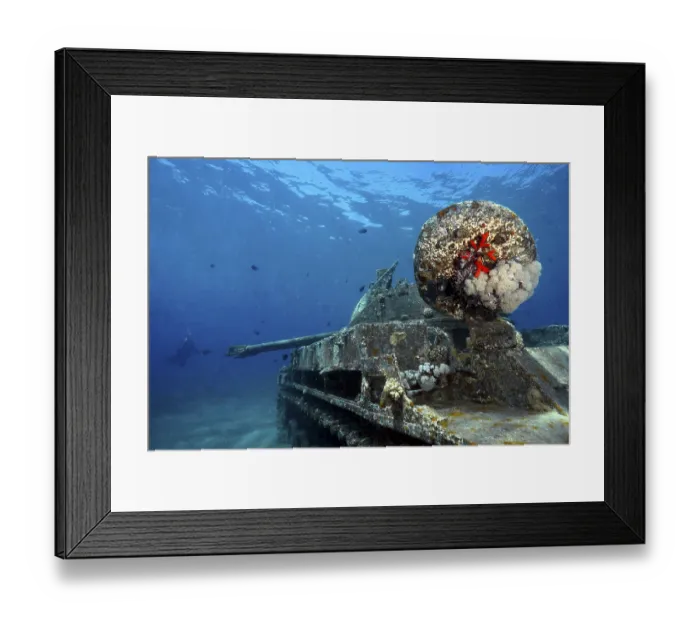 Framed Print : Close-up of a rusted tank wreck with coral growth
