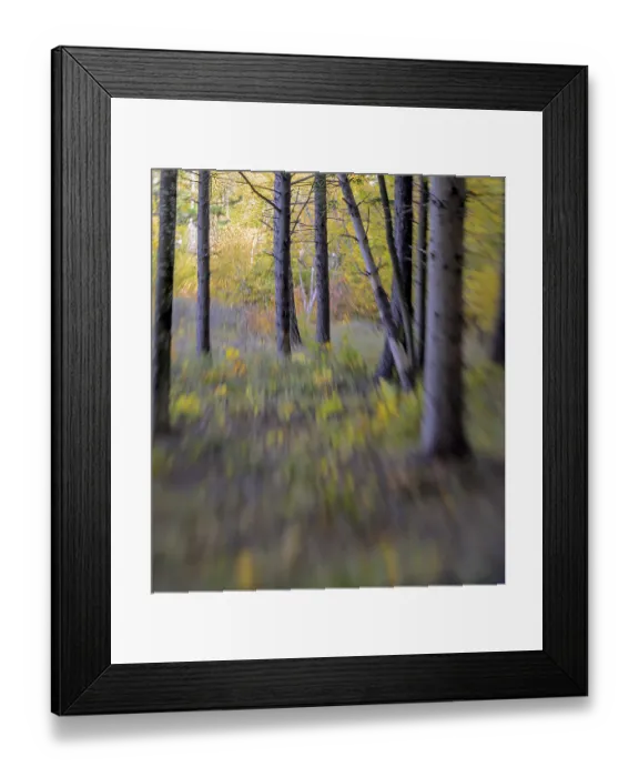 Framed Print : Blurred view of a forest with autumn colors, Italy