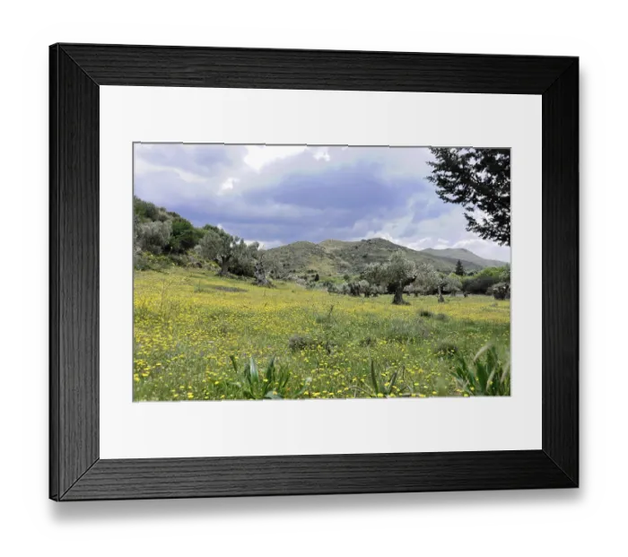 Framed Print : Green meadow landscape with yellow wildflowers and mountains in the background under cloudy sky Framed Print : Green meadow landscape with yellow wildflowers and mountains in the background under cloudy sky