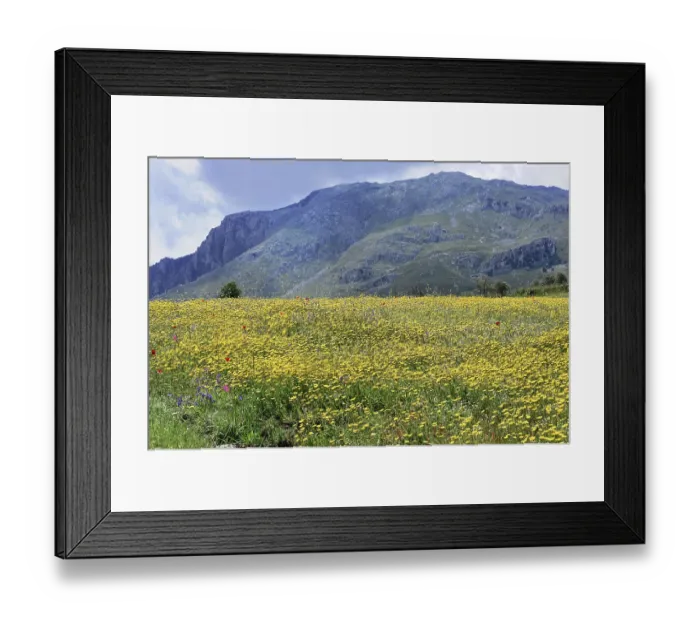 Framed Print : Near Rethymno, Crete, Greece, Crete Framed Print : Near Rethymno, Crete, Greece, Crete