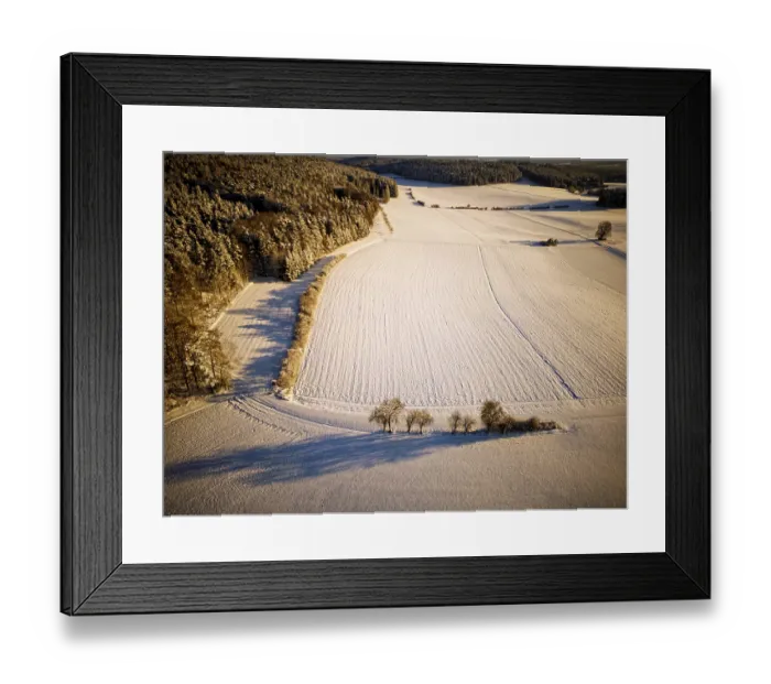 Framed Print : Winter, snow, forest, trees, drone