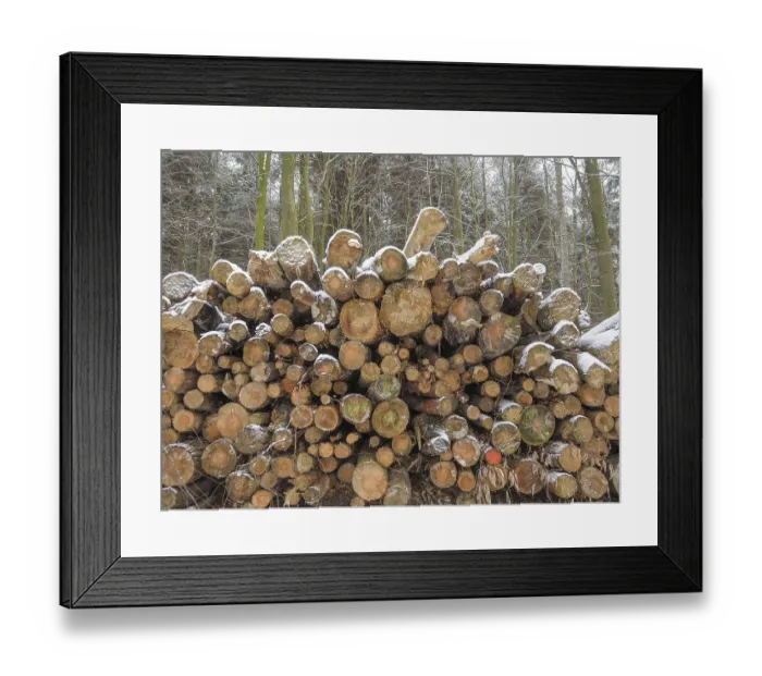 Framed Print : Frontal view of a pile of wood in a snowy forest