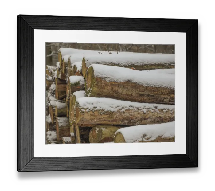 Framed Print : Close-up of a snowy pile of wood in the forest Framed Print : Close-up of a snowy pile of wood in the forest