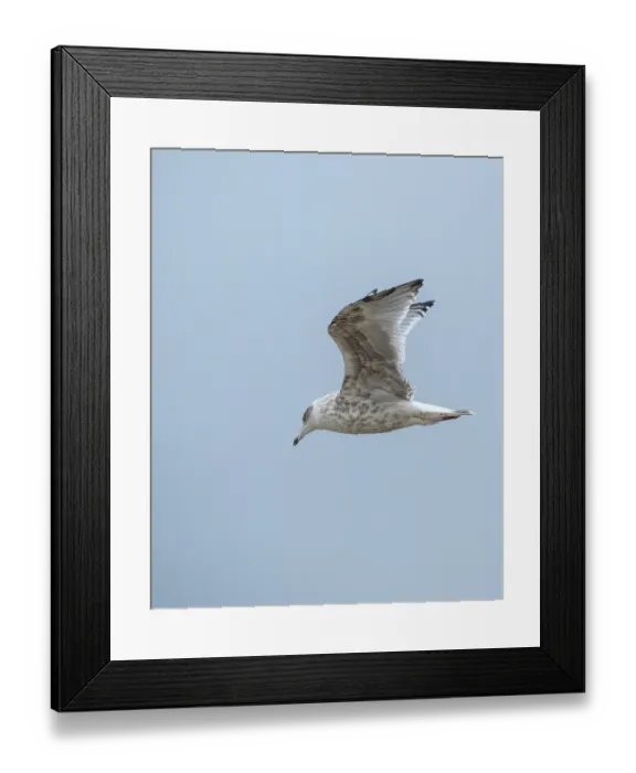 Framed Print : Schoorl, nord-holland, netherlands Framed Print : Schoorl, nord-holland, netherlands
