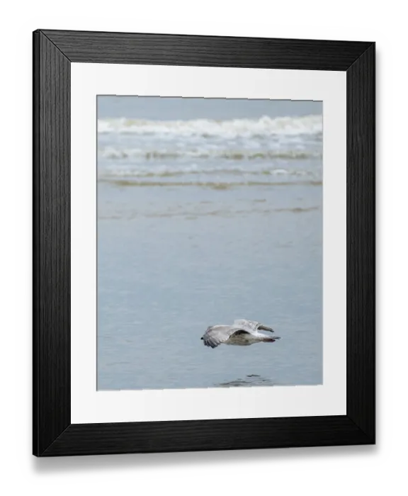 Framed Print : Schoorl, nord-holland, netherlands