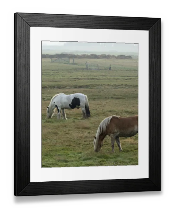Framed Print : Schoorl, nord-holland, netherlands