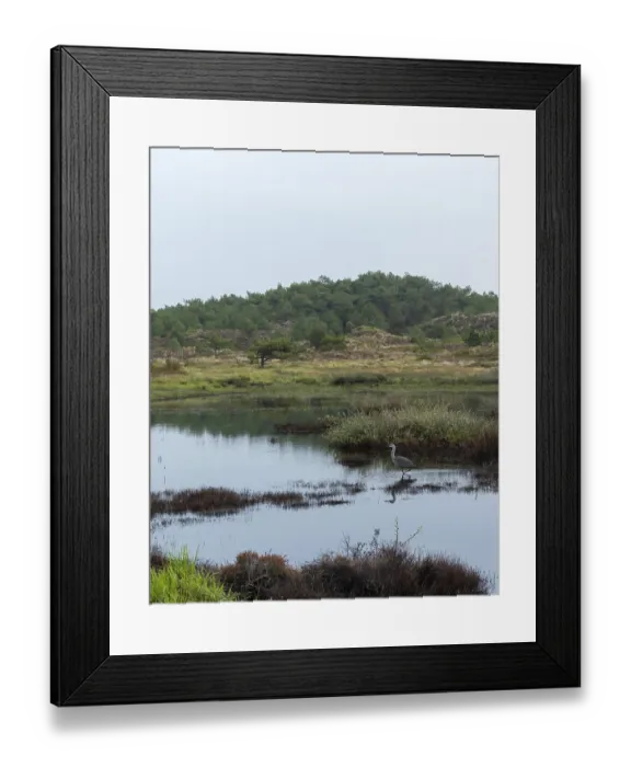Framed Print : Schoorl, nord-holland, netherlands Framed Print : Schoorl, nord-holland, netherlands