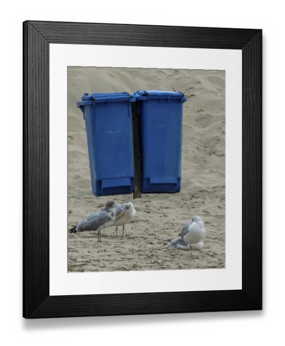 Framed Print : Schoorl, nord-holland, netherlands