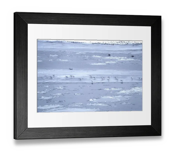 Framed Print : Elbe with ice floes, seagulls, winter