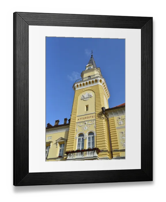 Framed Print : Kikinda town Serbia city hall tower landmark architecture