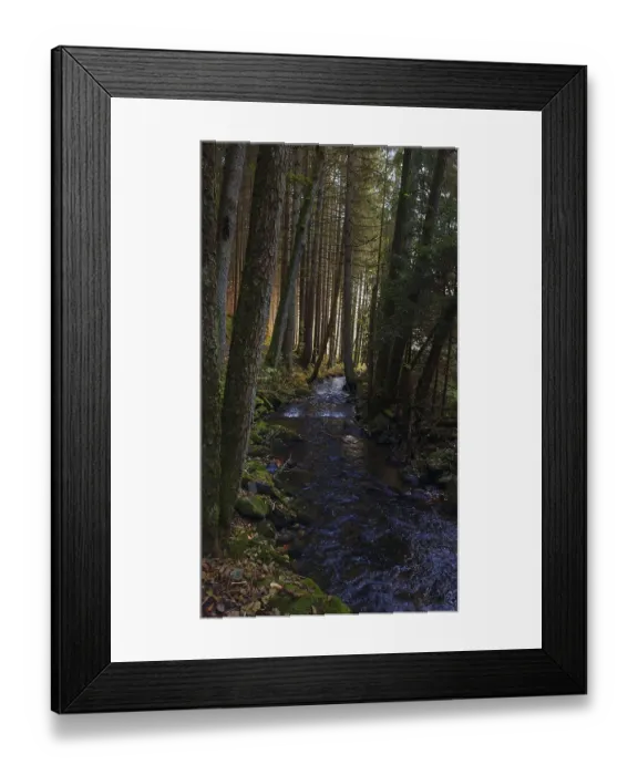 Framed Print : A calm river flows through a moss-covered forest surrounded by tall trees and filtered sunlight Framed Print : A calm river flows through a moss-covered forest surrounded by tall trees and filtered sunlight