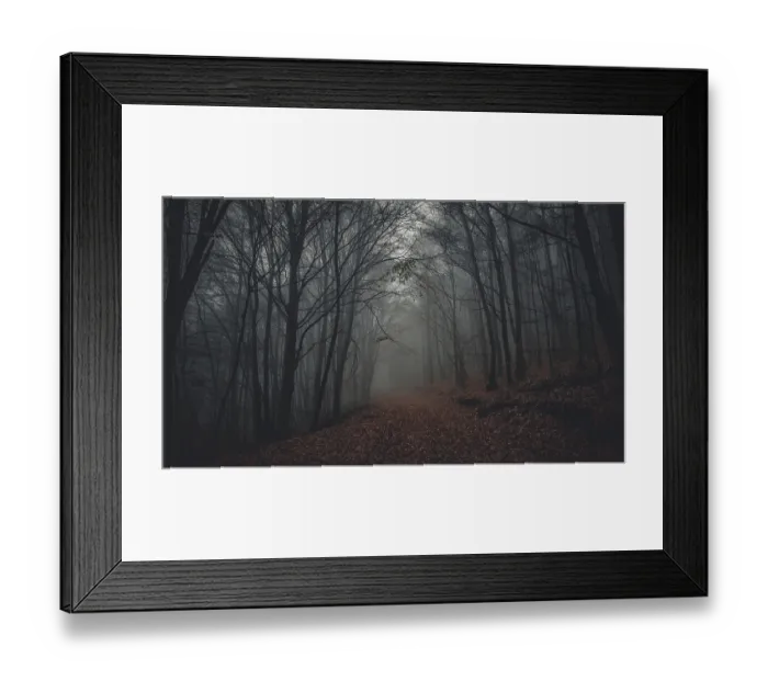 Framed Print : A foggy forest in autumn, with trees and a secluded path that creates a mystical and gloomy atmosphere