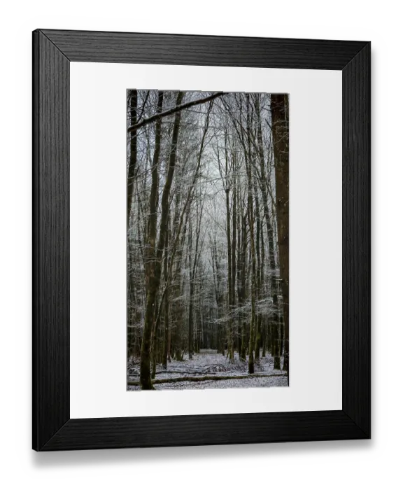 Framed Print : Snowy winter forest with tall, bare trees and a quiet path