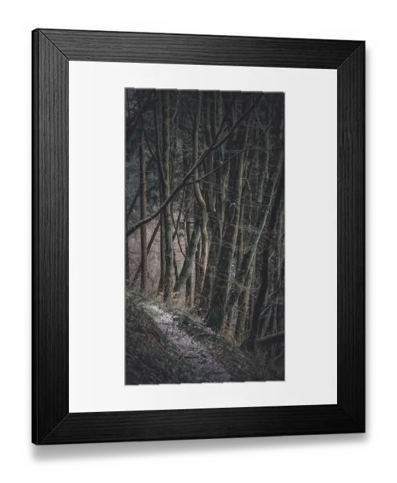 Framed Print : Narrow path through a dark, mysterious forest with thick