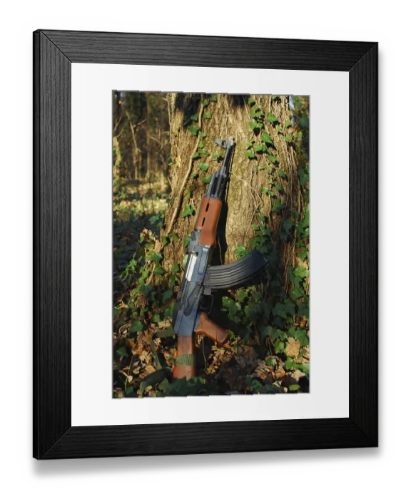 Framed Print : A kalashnikov rifle leaning against a tree in a forest