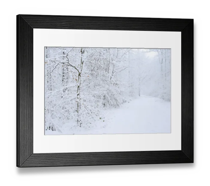Framed Print : Snowy trail through deciduous forest in winter Framed Print : Snowy trail through deciduous forest in winter