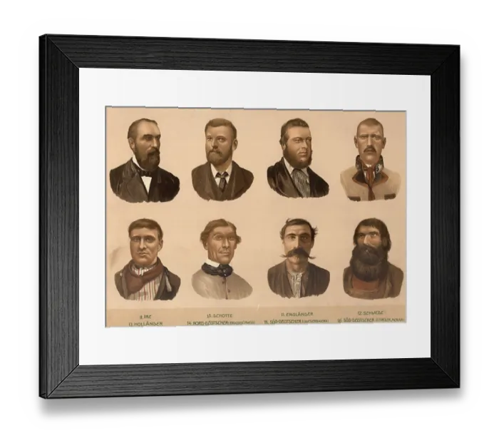 Framed Print : Schematic diagram, European ethnic types: Irish