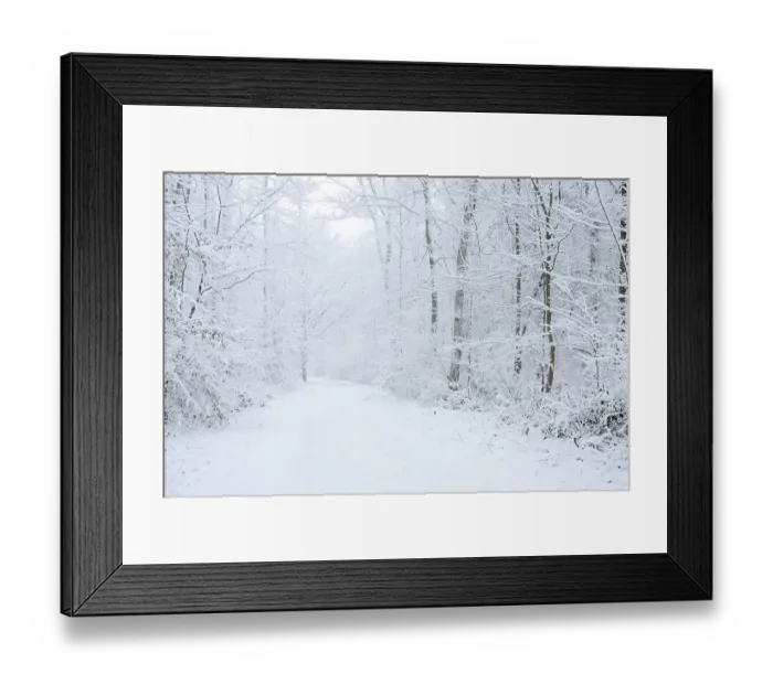 Framed Print : Snowy trail through deciduous forest in winter