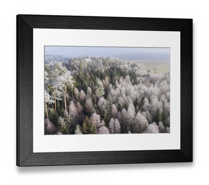Framed Print : Winter forest aerial view of a mixed forest with spruces