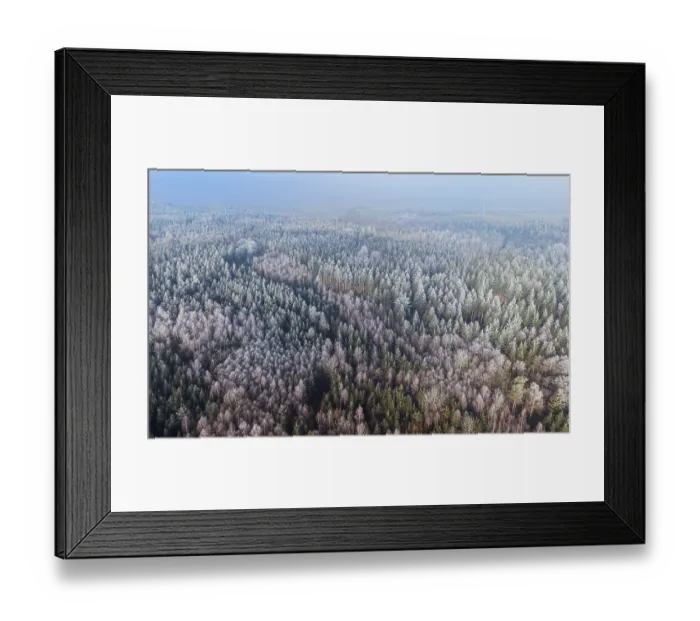 Framed Print : Winter forest aerial view of a mixed forest with spruces