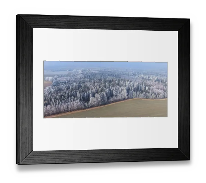 Framed Print : Winter forest aerial view of a mixed forest with spruces