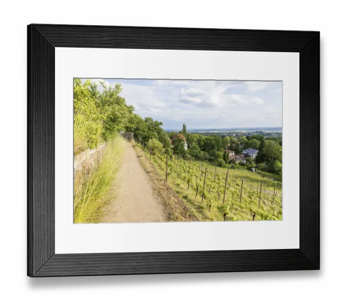 Framed Print : View of the Elbe and Dresden, Royal Vineyard Wachwitz Framed Print : View of the Elbe and Dresden, Royal Vineyard Wachwitz