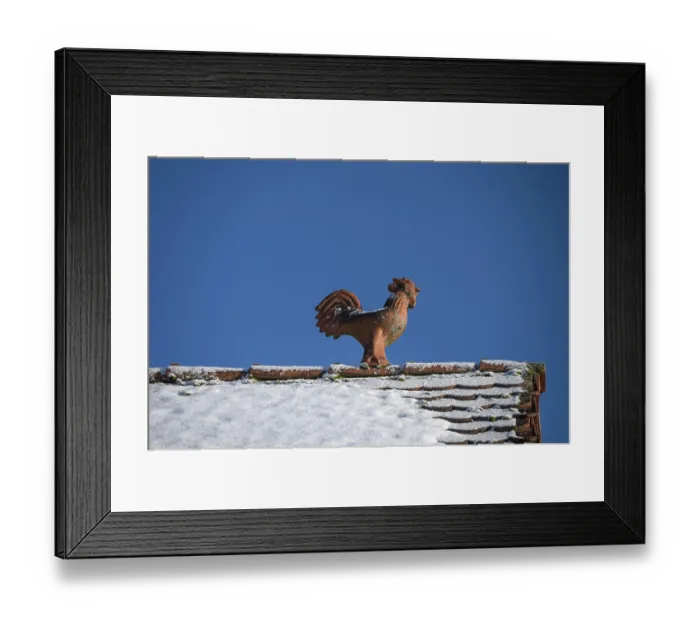 Framed Print : Rooster as a roof rider, blue sky