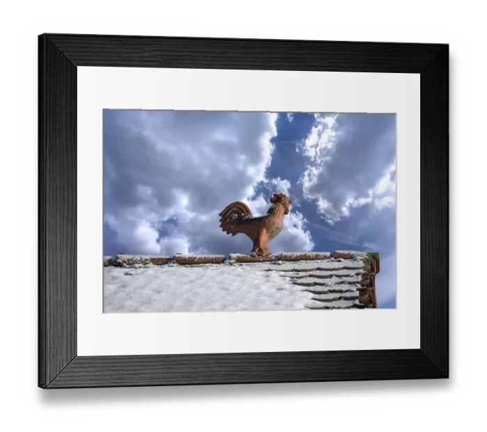 Framed Print : Rooster as a roof rider, cloud sky